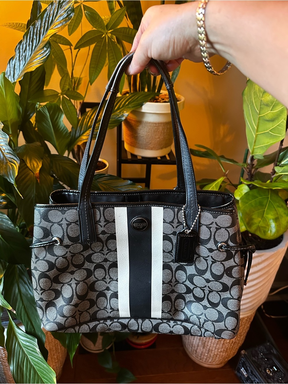 Authentic Coach Black, Charcoal & White Signature Stripe Tote - Picture 1 of 8